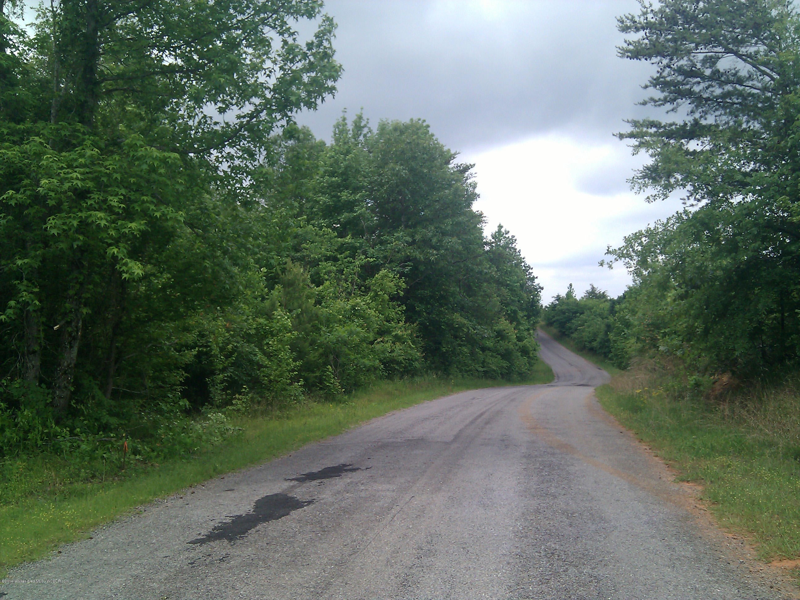 Bankhead Road Quinton, AL 35130 - Photo 2 of 5 Gallery Image 2