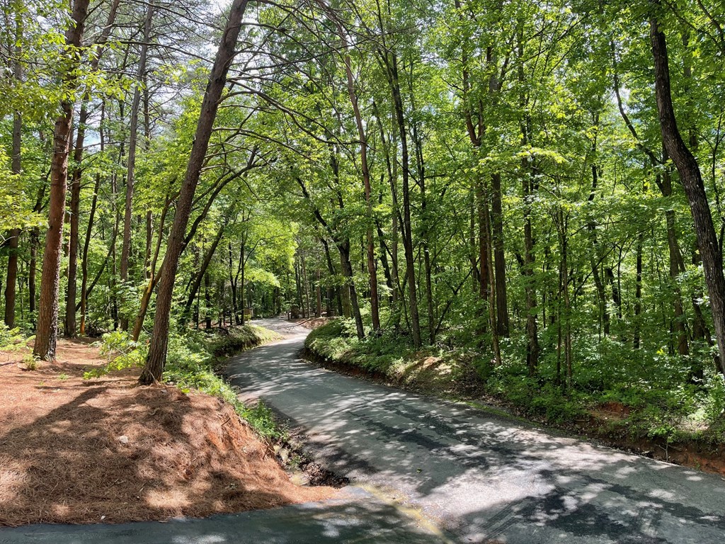 1496 Pleasant Valley Road Talking Rock, GA 30175 - Photo 39 of 52
