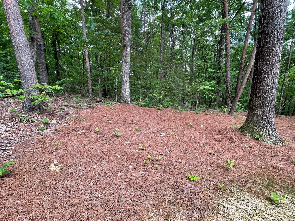 1496 Pleasant Valley Road Talking Rock, GA 30175 - Photo 43 of 52