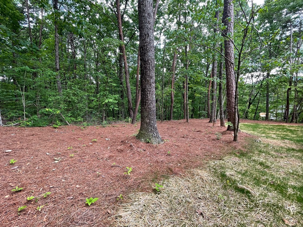 1496 Pleasant Valley Road Talking Rock, GA 30175 - Photo 46 of 52
