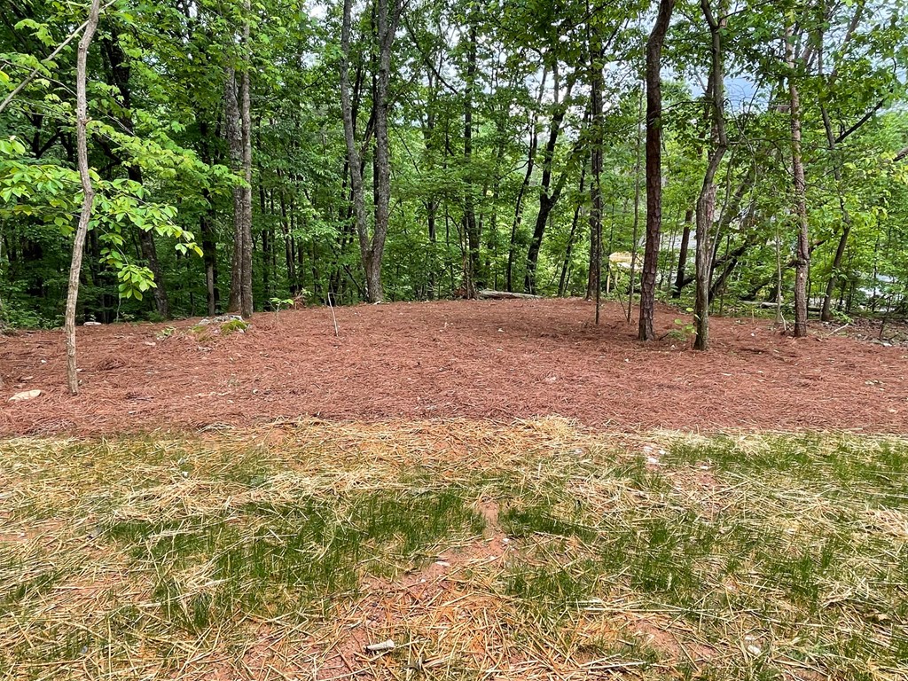 1496 Pleasant Valley Road Talking Rock, GA 30175 - Photo 47 of 52