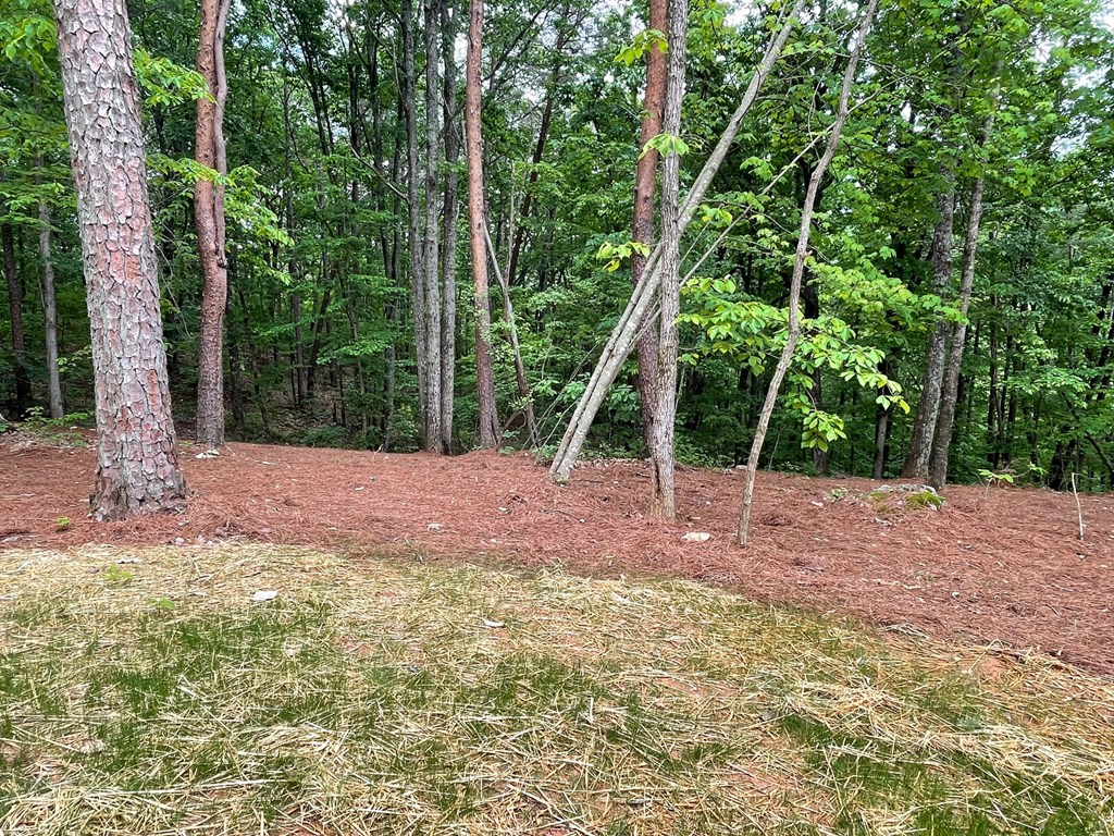 1496 Pleasant Valley Road Talking Rock, GA 30175 - Photo 48 of 52
