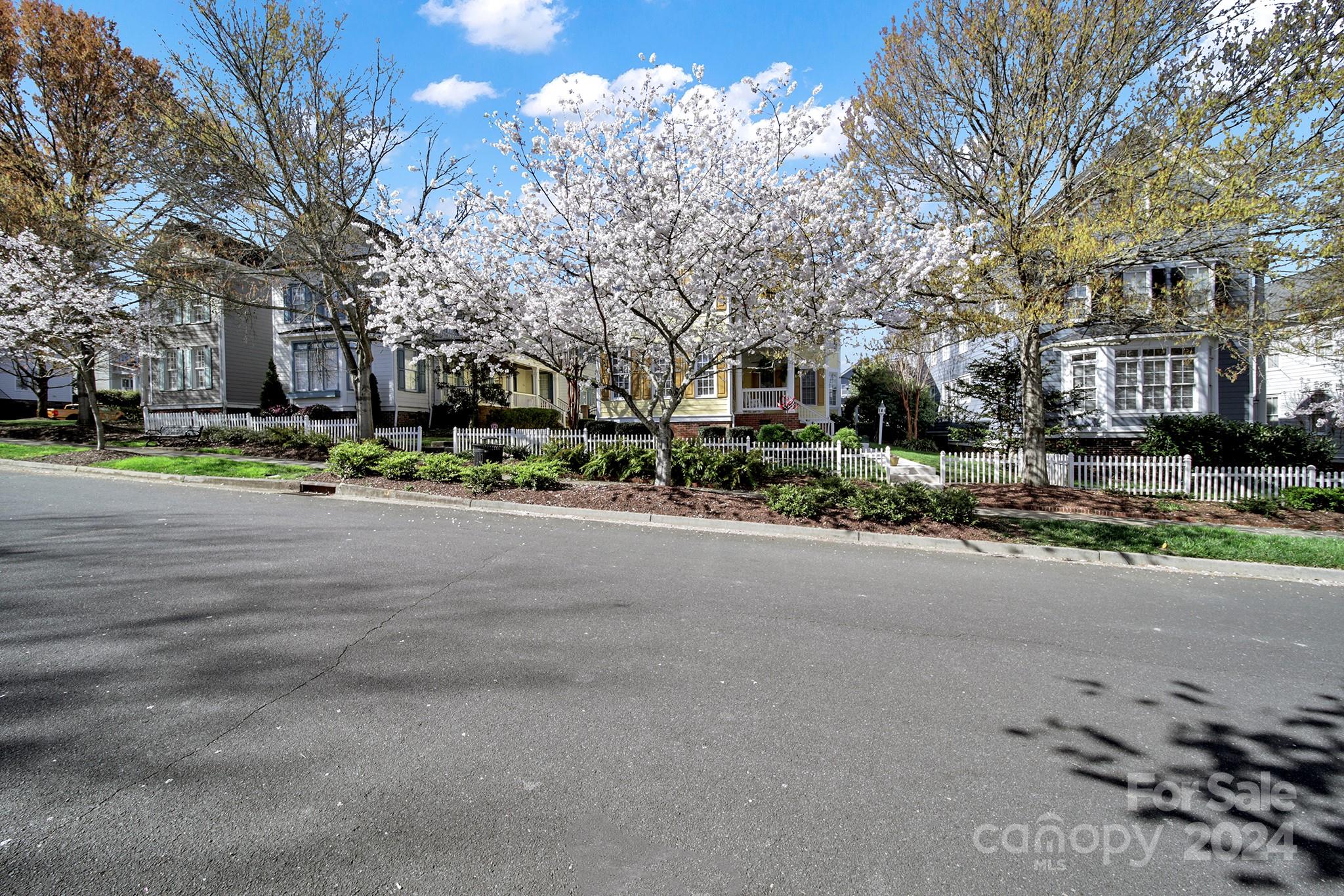 724 Shady Grove Crossing Fort Mill, SC 29708 - Photo 3 of 48 a street view with residential house and trees