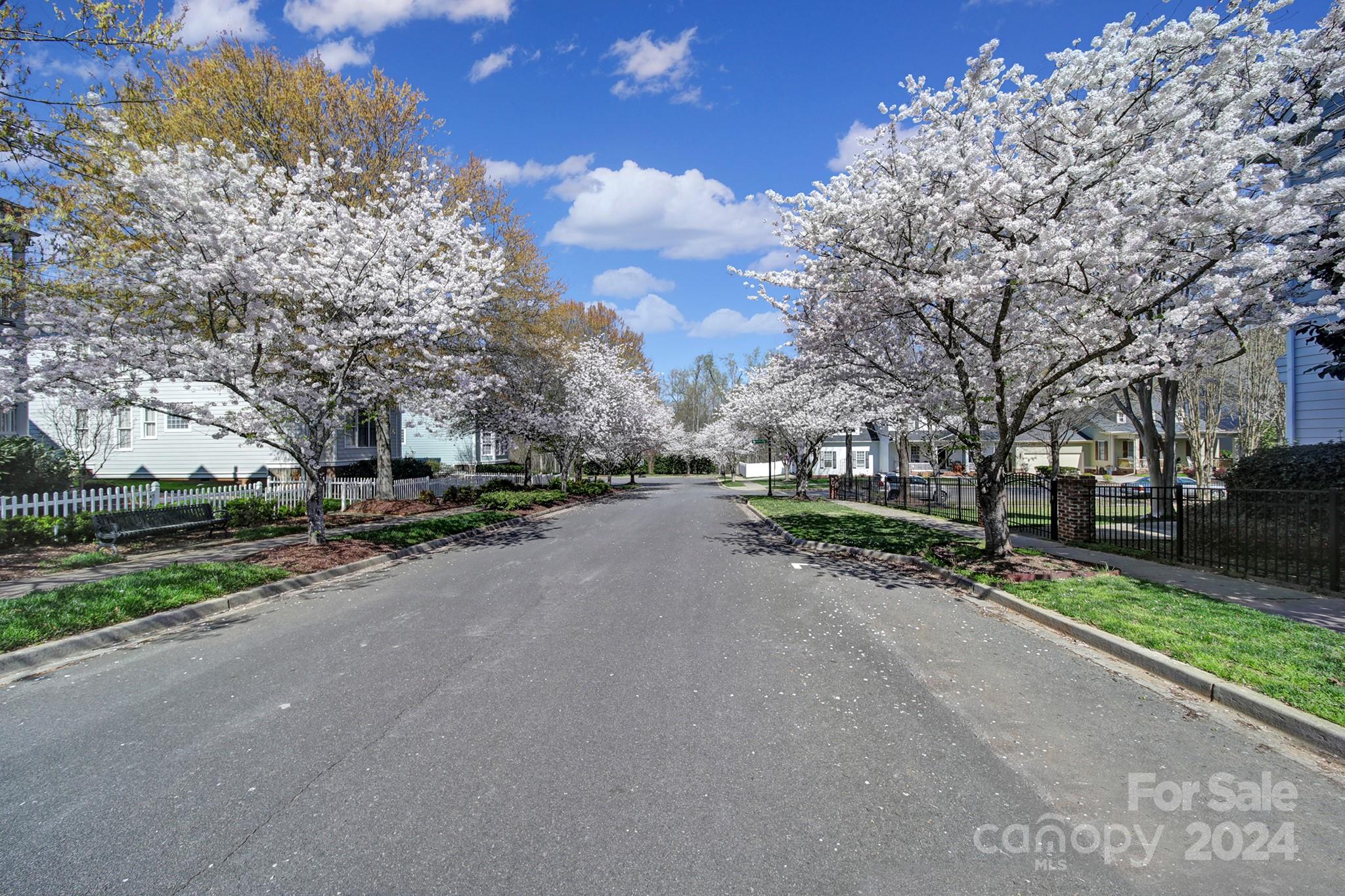 724 Shady Grove Crossing Fort Mill, SC 29708 - Photo 4 of 48 a view of a street with a house in the background