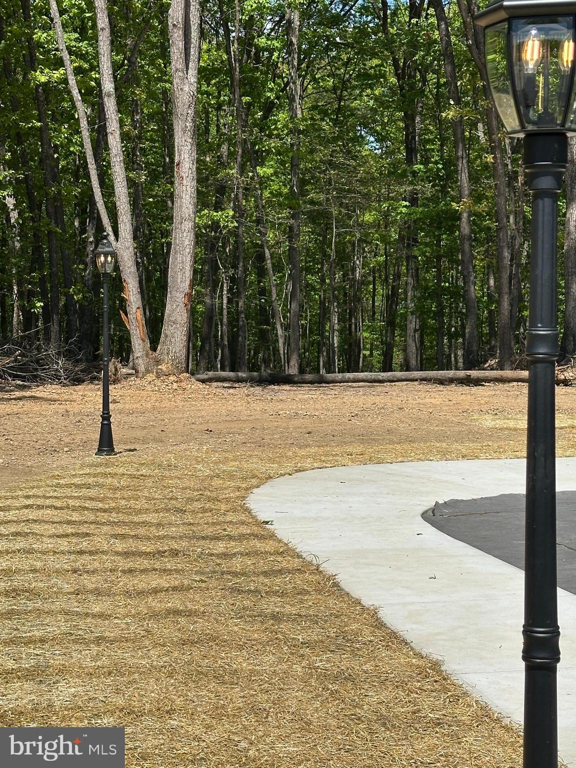 2225 Cedar Grove Road Winchester, VA 22603 - Photo 93 of 95 5 post lights around driveway/parking area