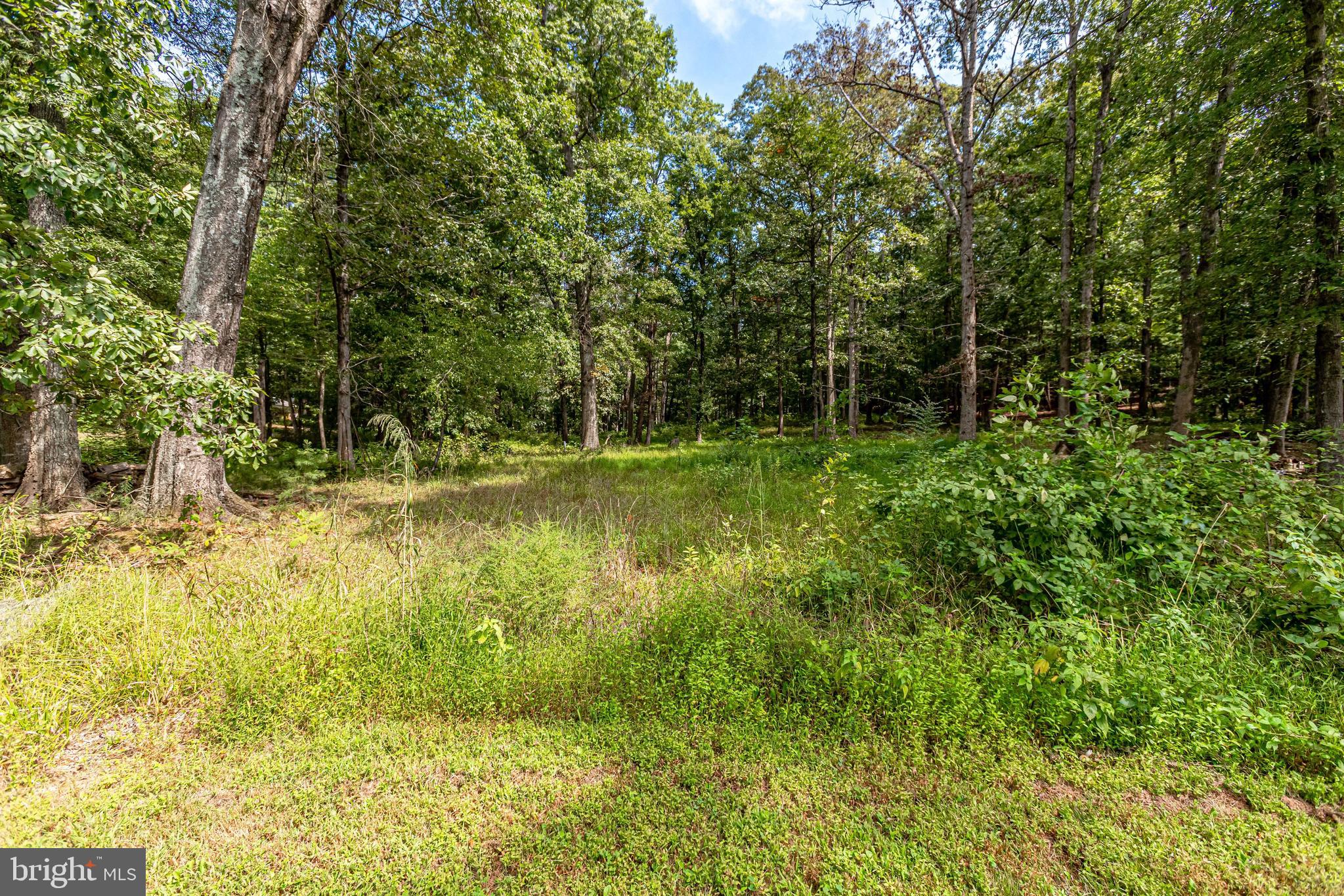 15436 Thoroughfare Road Gainesville, VA 20169 - Photo 65 of 69 Gallery Image 65