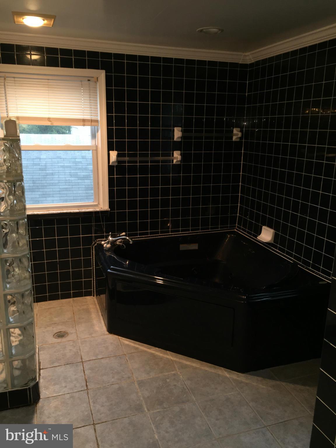 42579 Lucketts Road Leesburg, VA 20176 - Photo 21 of 29 Bath (Master)