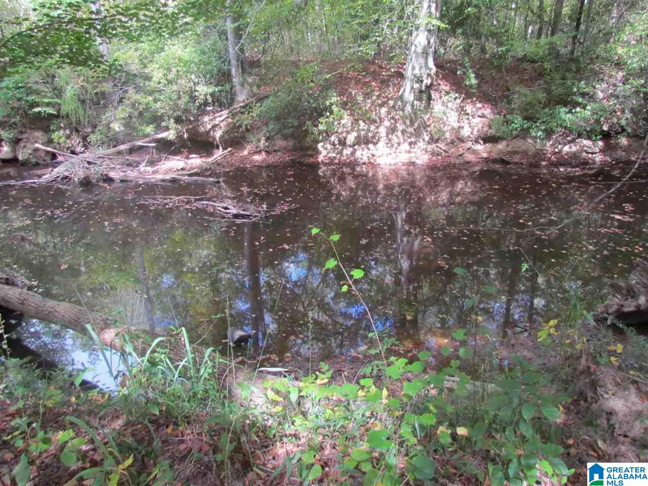 0 Wolf Pen Ridge Road Pell City, AL 35128 - Photo 9 of 13