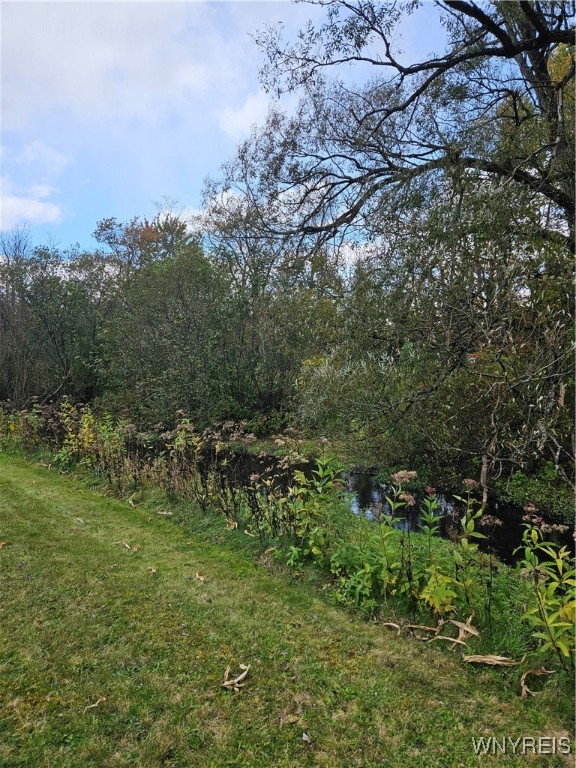 12335 Sharp Road Concord, NY 14141 - Photo 5 of 13