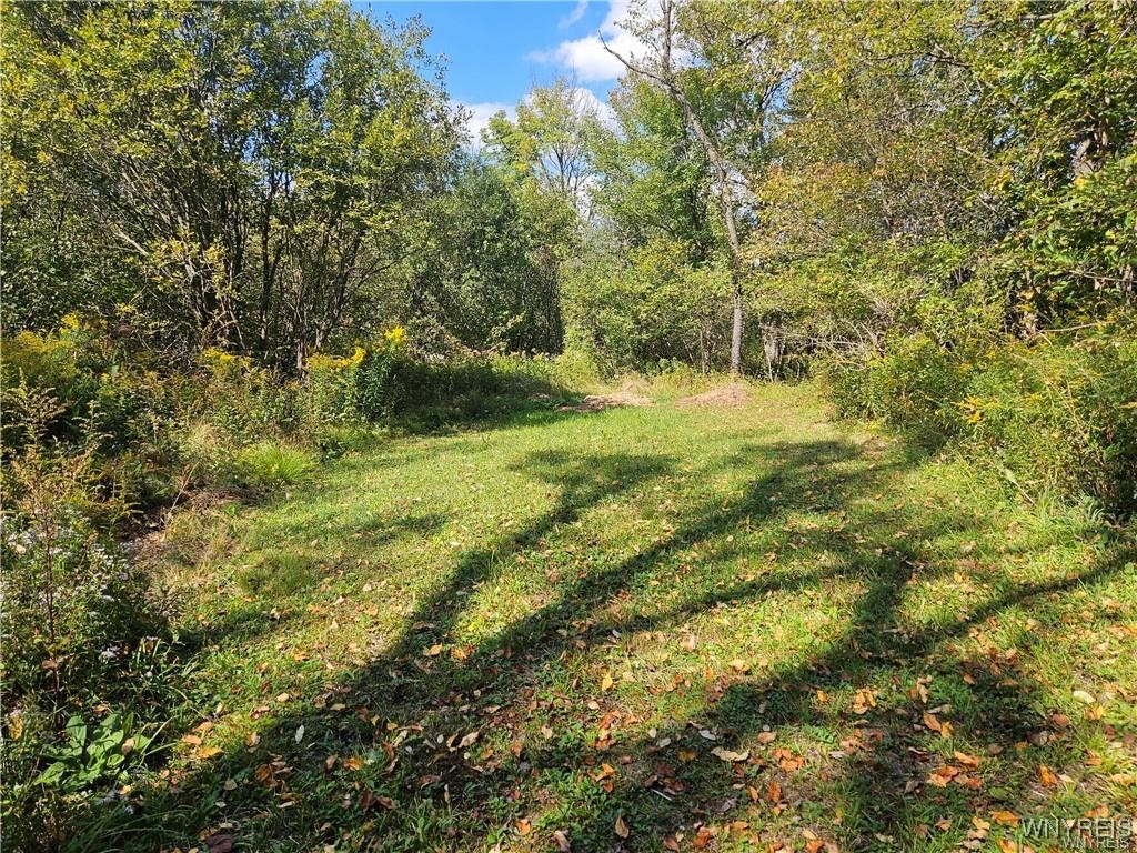 12335 Sharp Road Concord, NY 14141 - Photo 6 of 13