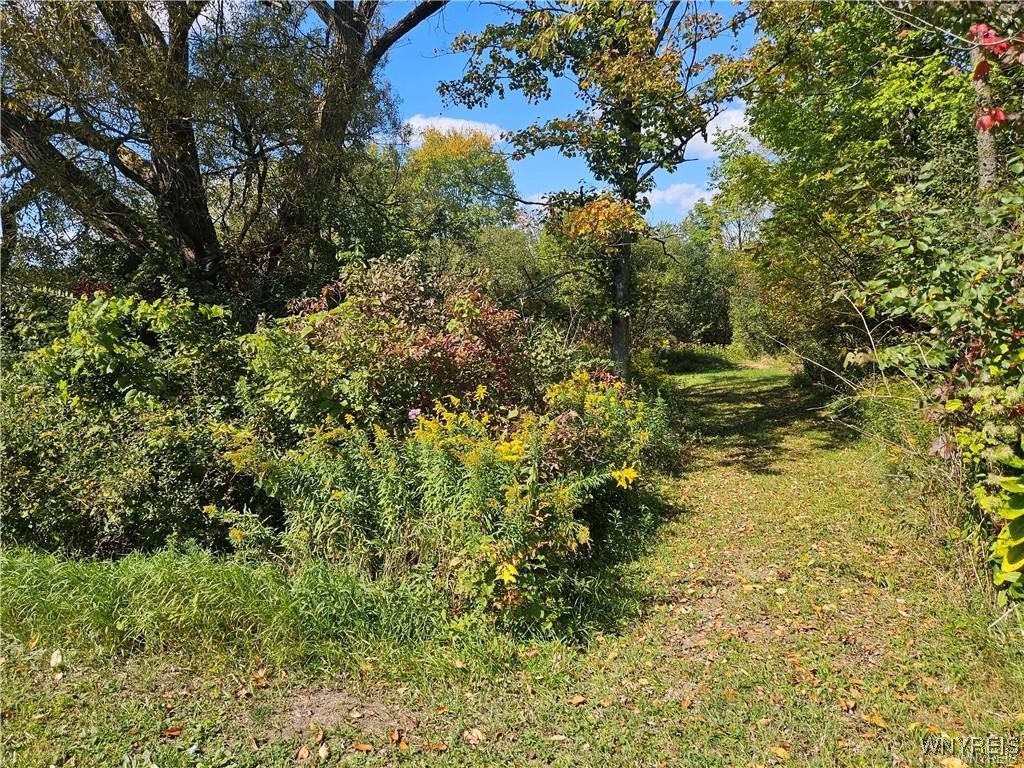 12335 Sharp Road Concord, NY 14141 - Photo 7 of 13