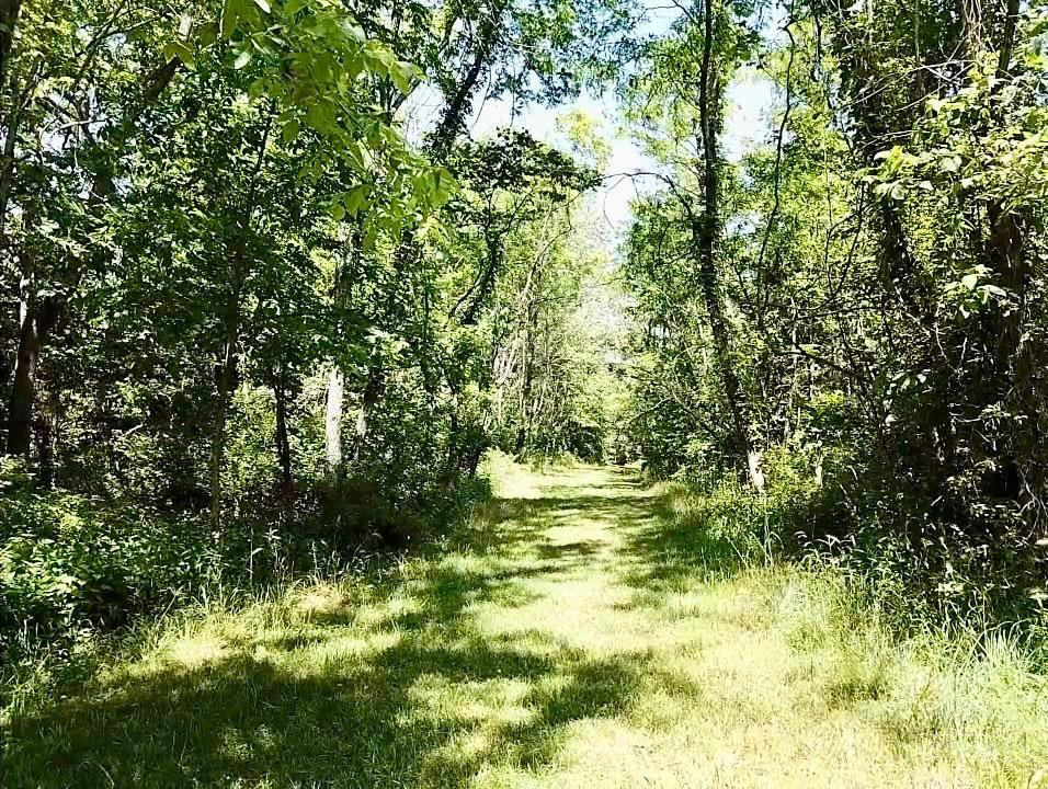 4051 State Rte 41 Manchester, OH 45144 - Photo 19 of 25