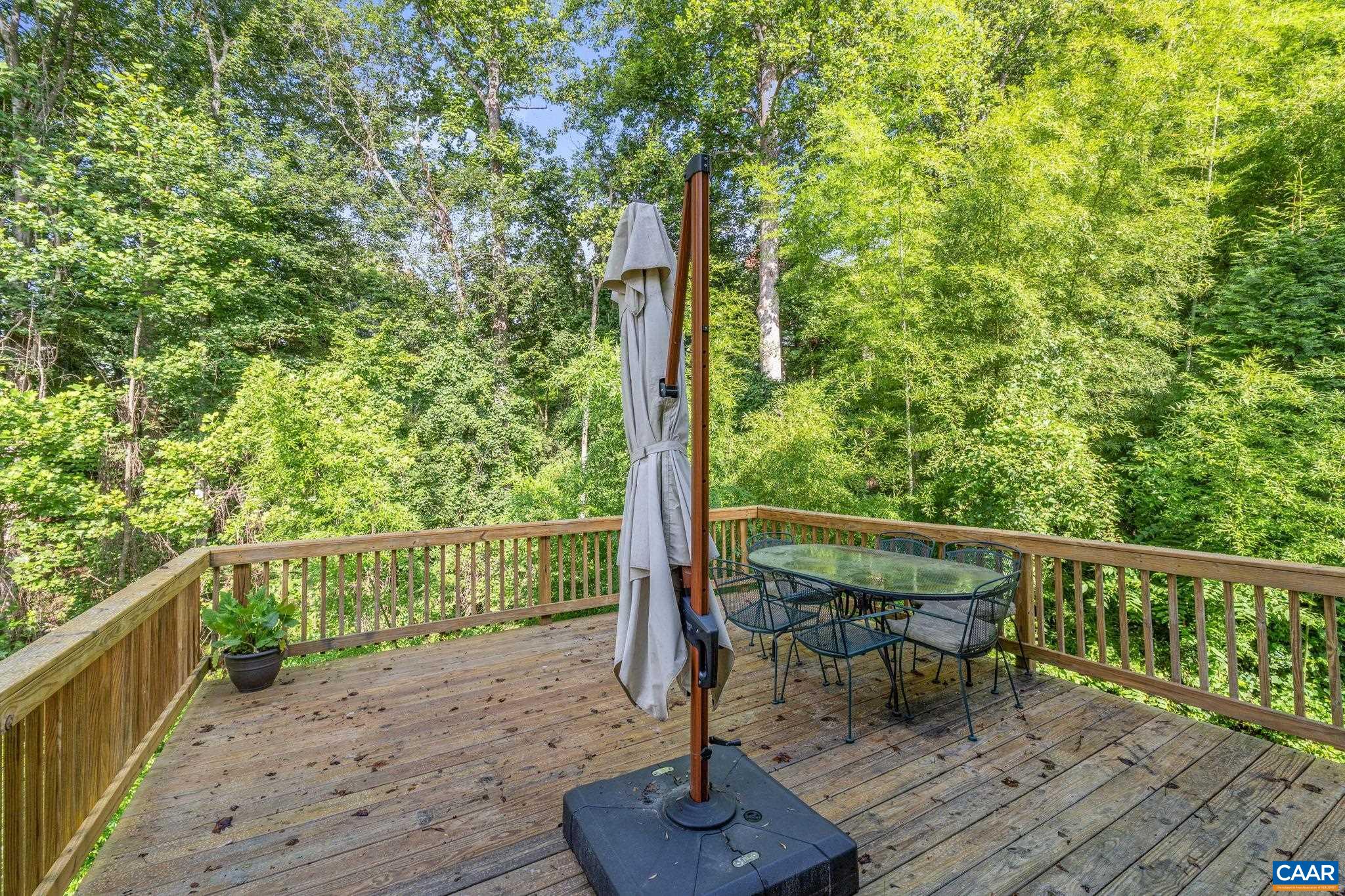 118 Roy's Place Charlottesville, VA 22902 - Photo 41 of 42