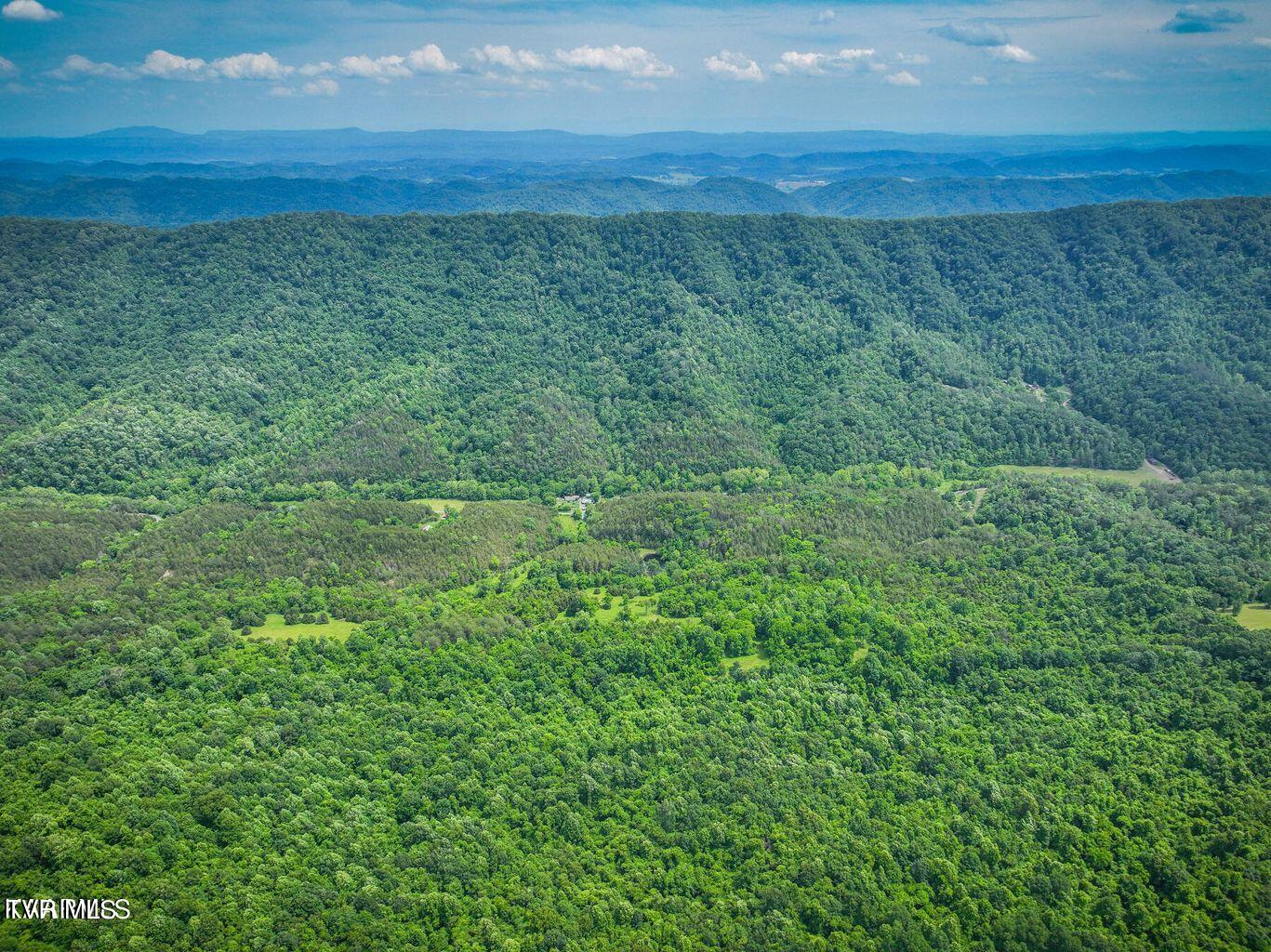 0 War Creek Road Eidson, TN 37731 - Photo 5 of 21 20230712180539658741000000-o
