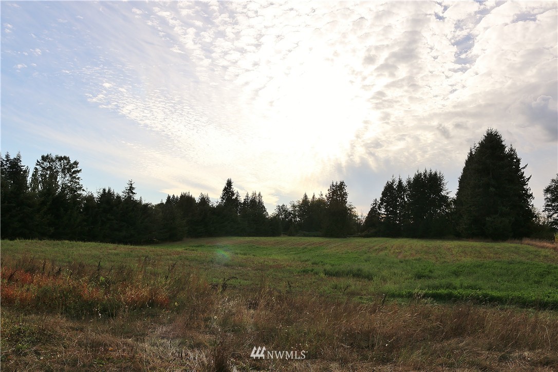 8539 Weidkamp Road Lynden, WA 98264 - Photo 10 of 25