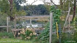 9388 Milford Road Holly, MI 48442 - Photo 10 of 37 IMG_6098 - Copy.jpg