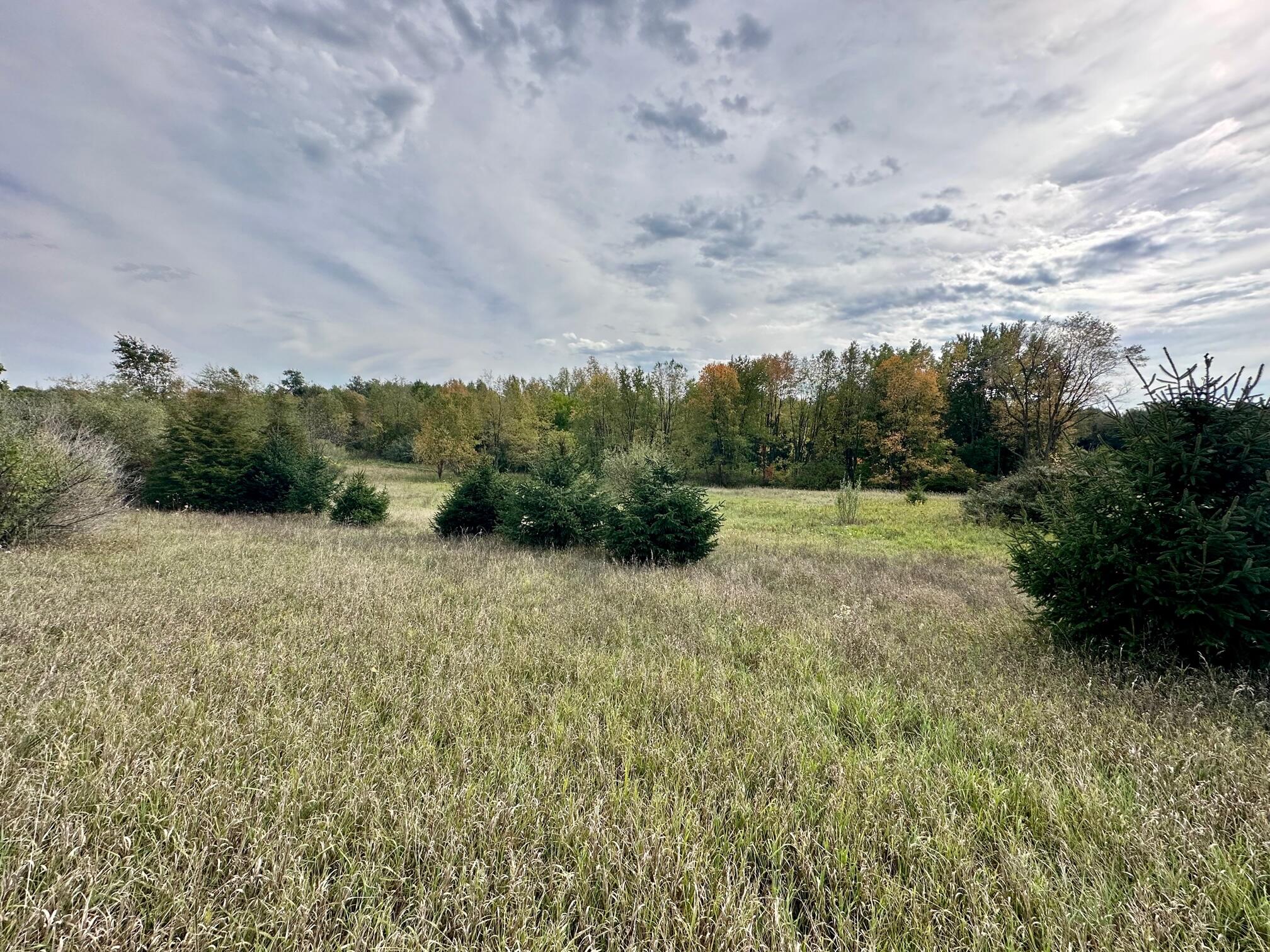 Par A Belding Road Belding, MI 48809 - Photo 1 of 3 IMG_2102