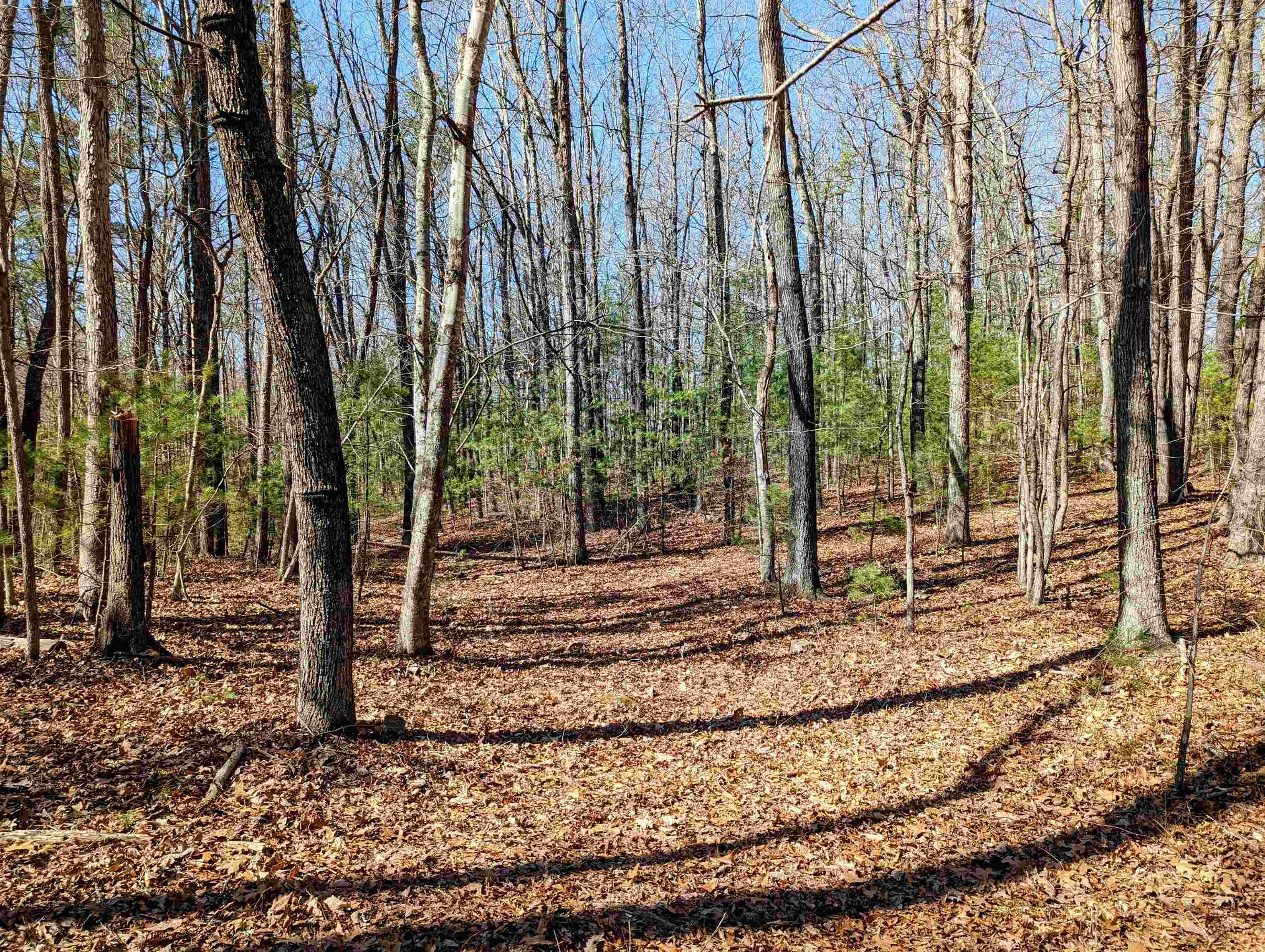 Tbd Pres Jackson Road Max Meadows, VA 24360 - Photo 4 of 12 Gallery Image 4