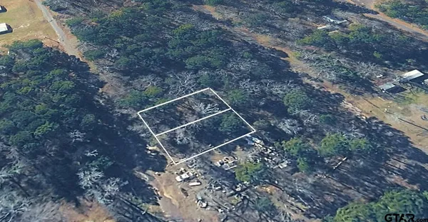 a view of outdoor space with lots of trees