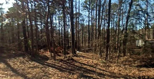 a view of a yard with large trees