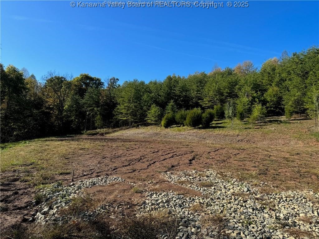 205 Ridgeview Drive Ripley, WV 25271 - Photo 5 of 15 Gallery Image 5