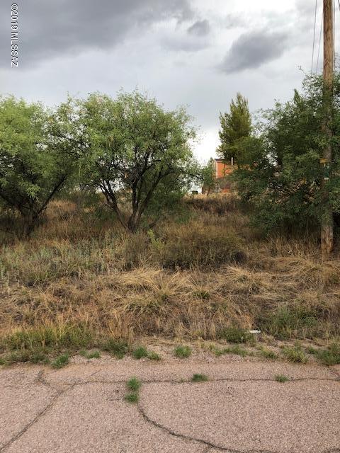 919 Via Orizaba, Unit 24 Rio Rico, AZ 85648 - Photo 4 of 4