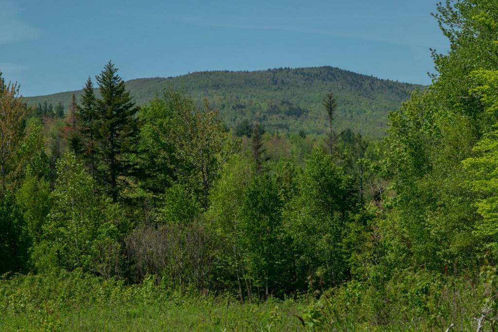 7 Spruce Mountain Road Avon, ME 04966 - Photo 1 of 10 Land