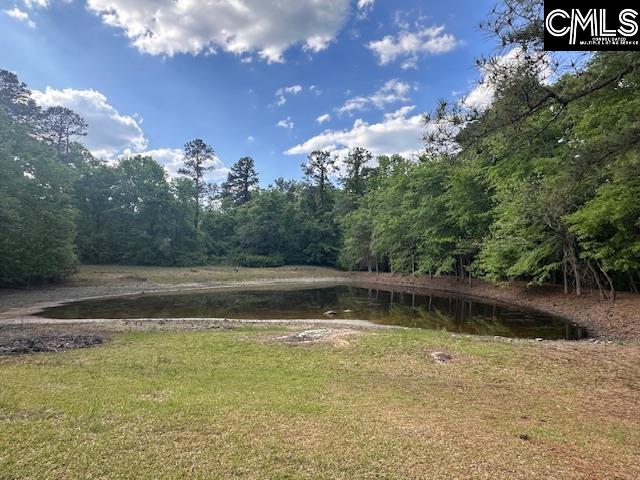 1426 West Creek Road Leesville, SC 29070 - Photo 7 of 70