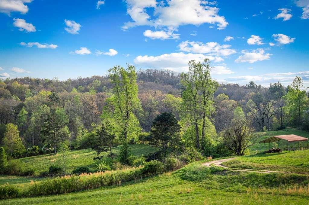 384 Maxwell Road Blue Ridge, GA 30513 - Photo 50 of 68 a view of a big yard with green space