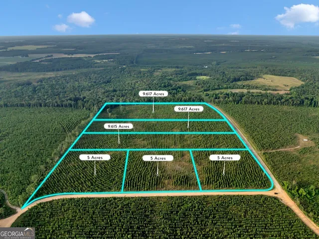 $72,000 | Parcel 13 Carl Rodgers Road, Reynolds, GA 31076
