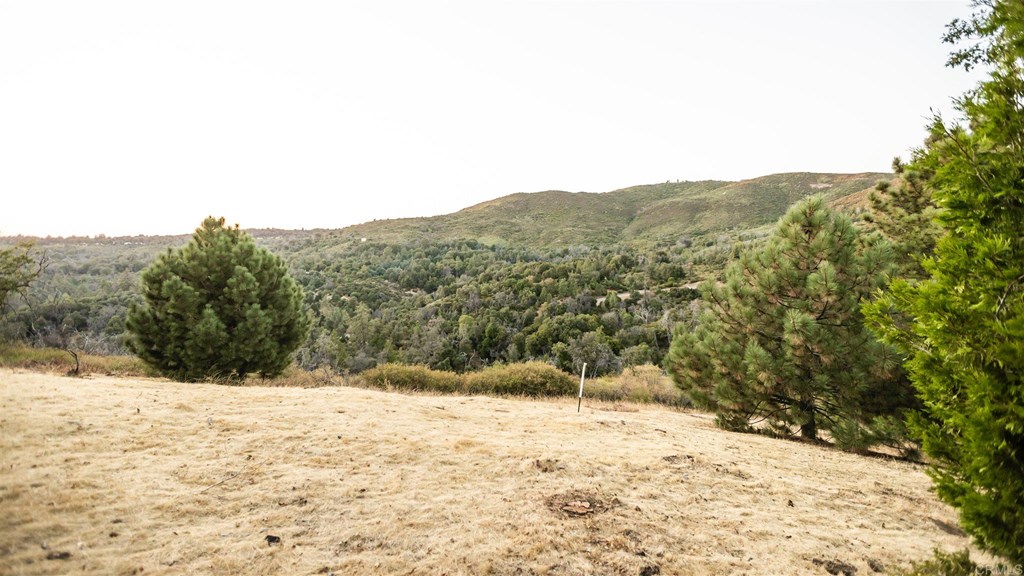 0 Wild Rose Road Julian, CA 92036 - Photo 1 of 1 Gallery Image 1