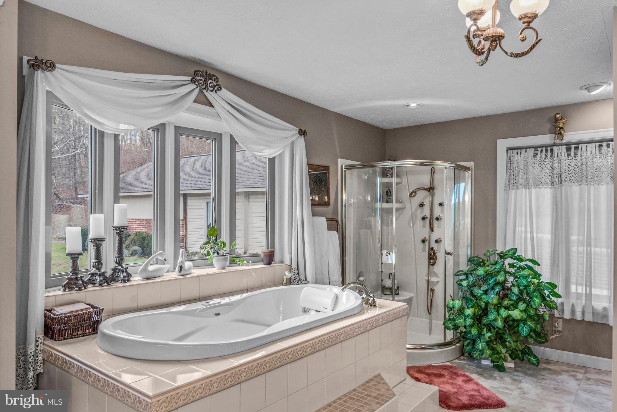 125 Housel Road Hopewell, PA 16650 - Photo 79 of 105 a bathroom with a tub a potted plant a sink and a large mirror