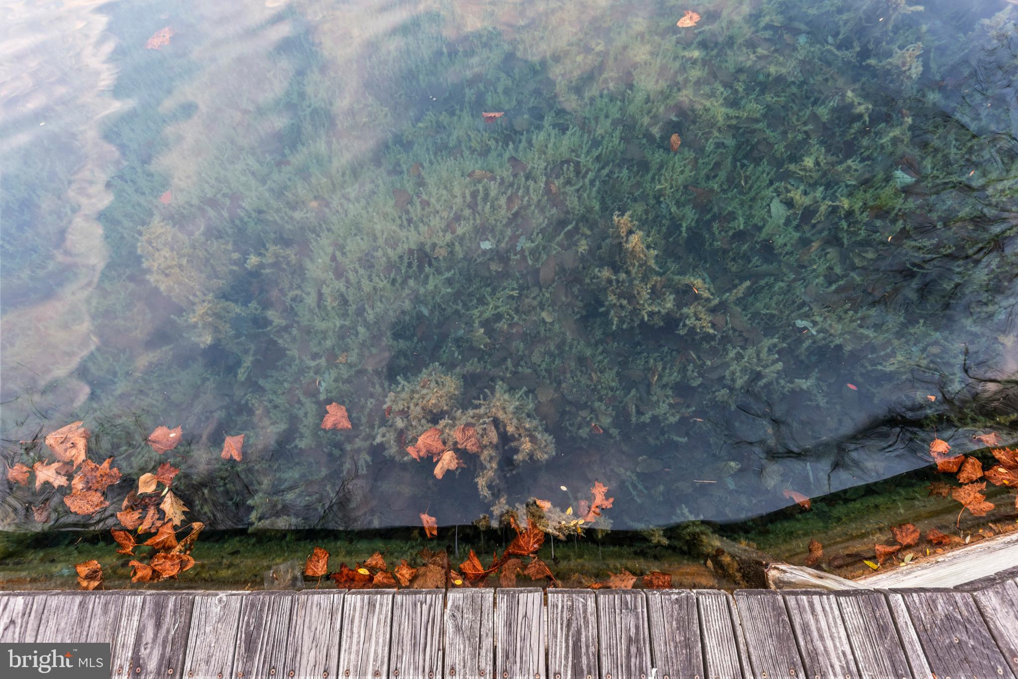 125 Housel Road Hopewell, PA 16650 - Photo 87 of 105