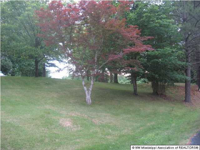 3165 Hernando Road Holly Springs, MS 38635 - Photo 3 of 5 Additional Photo