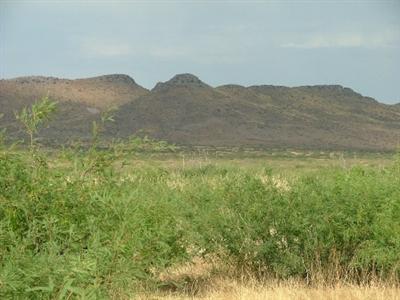 0 East White Tail Road Pearce, AZ 85625 - Photo 7 of 8
