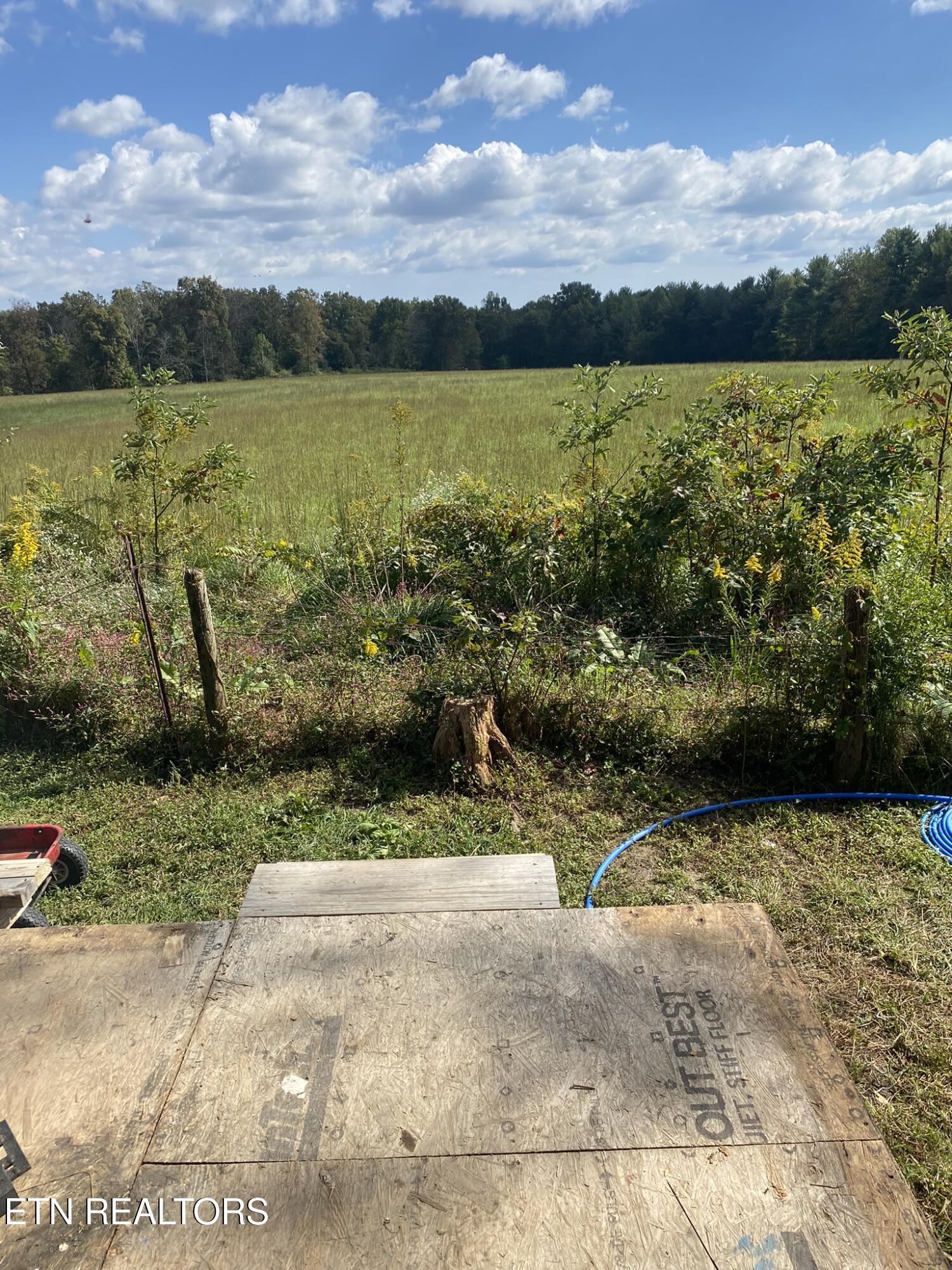 141 Central Avenue Lancing, TN 37770 - Photo 22 of 27 View from Back Porch