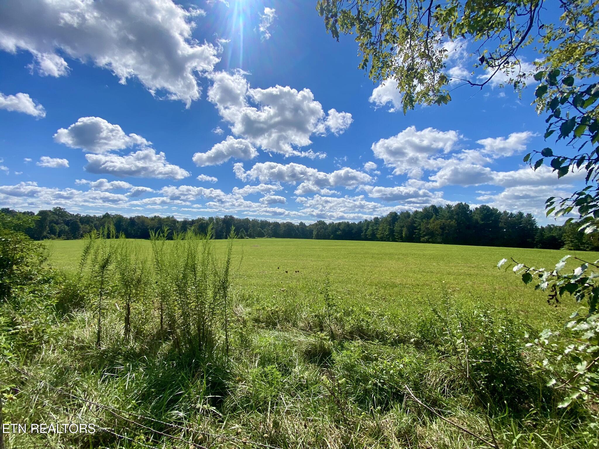 141 Central Avenue Lancing, TN 37770 - Photo 4 of 26 Views from Back Deck