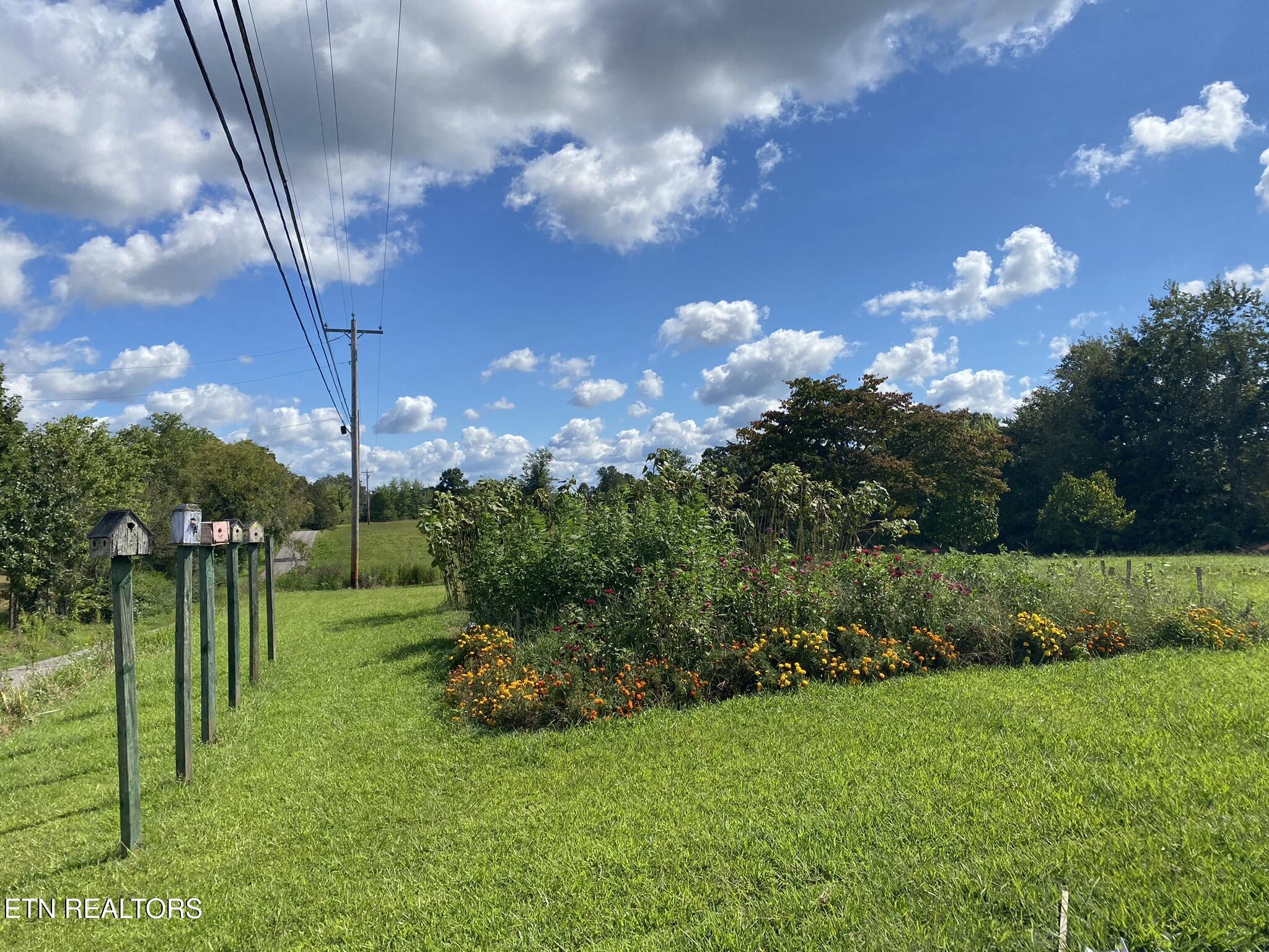 141 Central Avenue Lancing, TN 37770 - Photo 5 of 26 In-Ground Garden