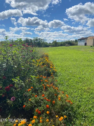 $159,000 | 141 Central Avenue, Lancing, TN 37770