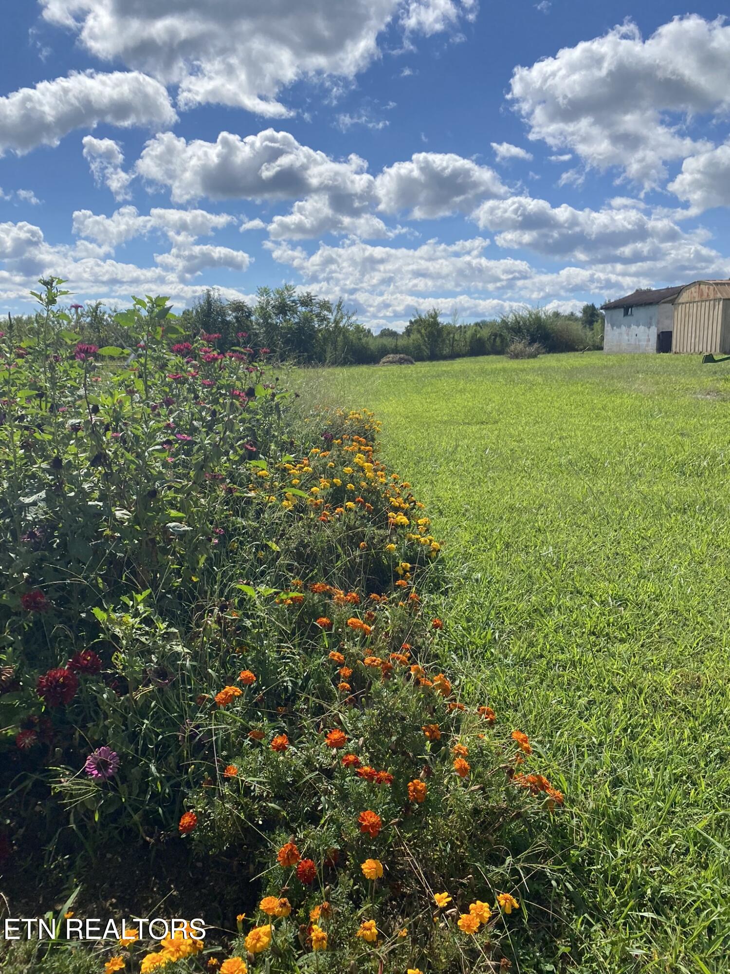 141 Central Avenue Lancing, TN 37770 - Photo 6 of 26 In-Ground Garden