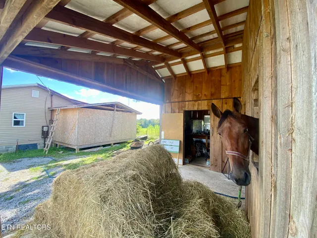 $159,000 | 141 Central Avenue, Lancing, TN 37770