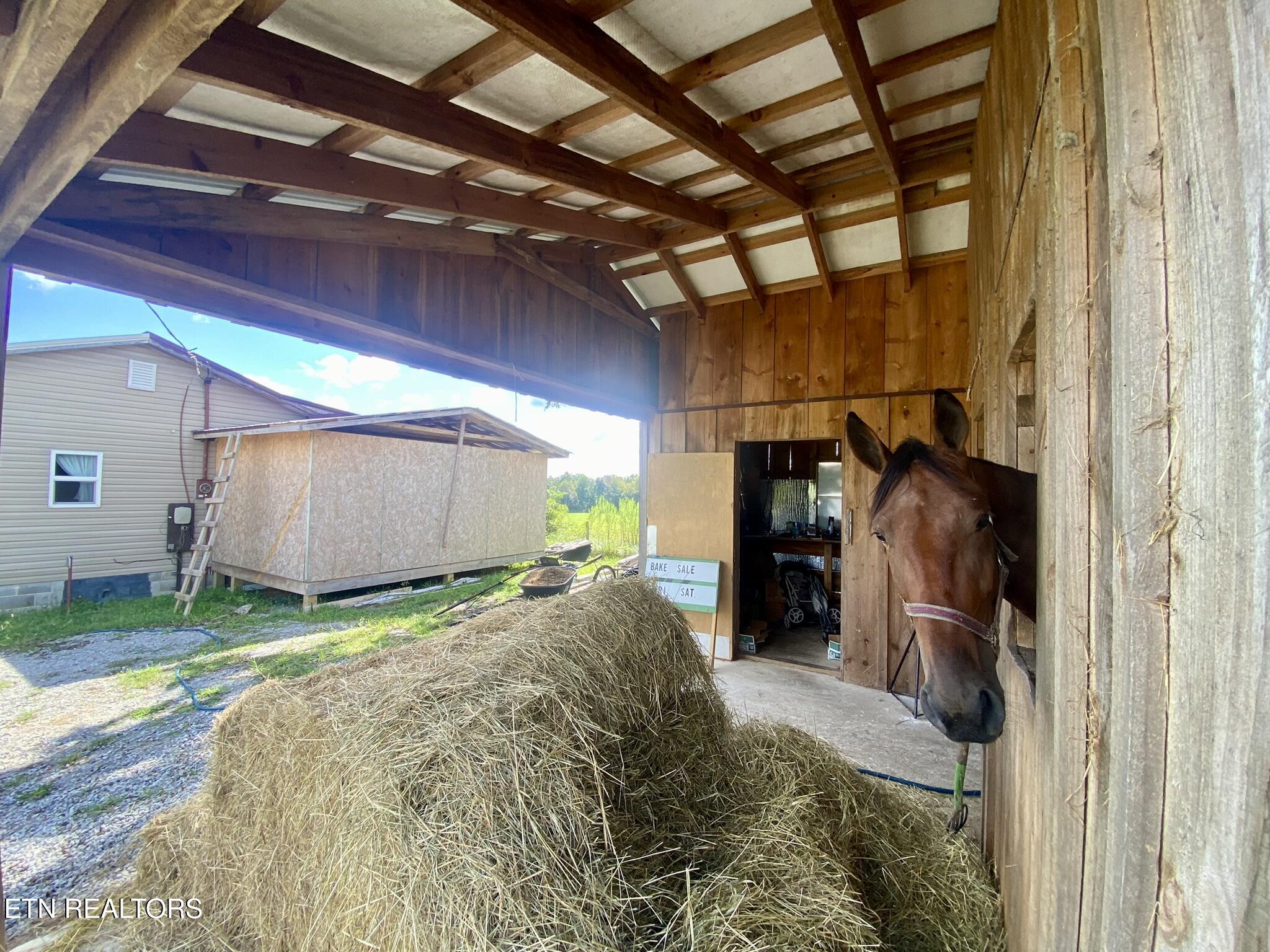 141 Central Avenue Lancing, TN 37770 - Photo 7 of 26 Barn