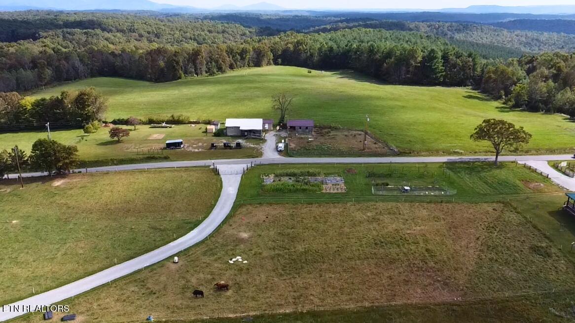 141 Central Avenue Lancing, TN 37770 - Photo 10 of 27 One Acre