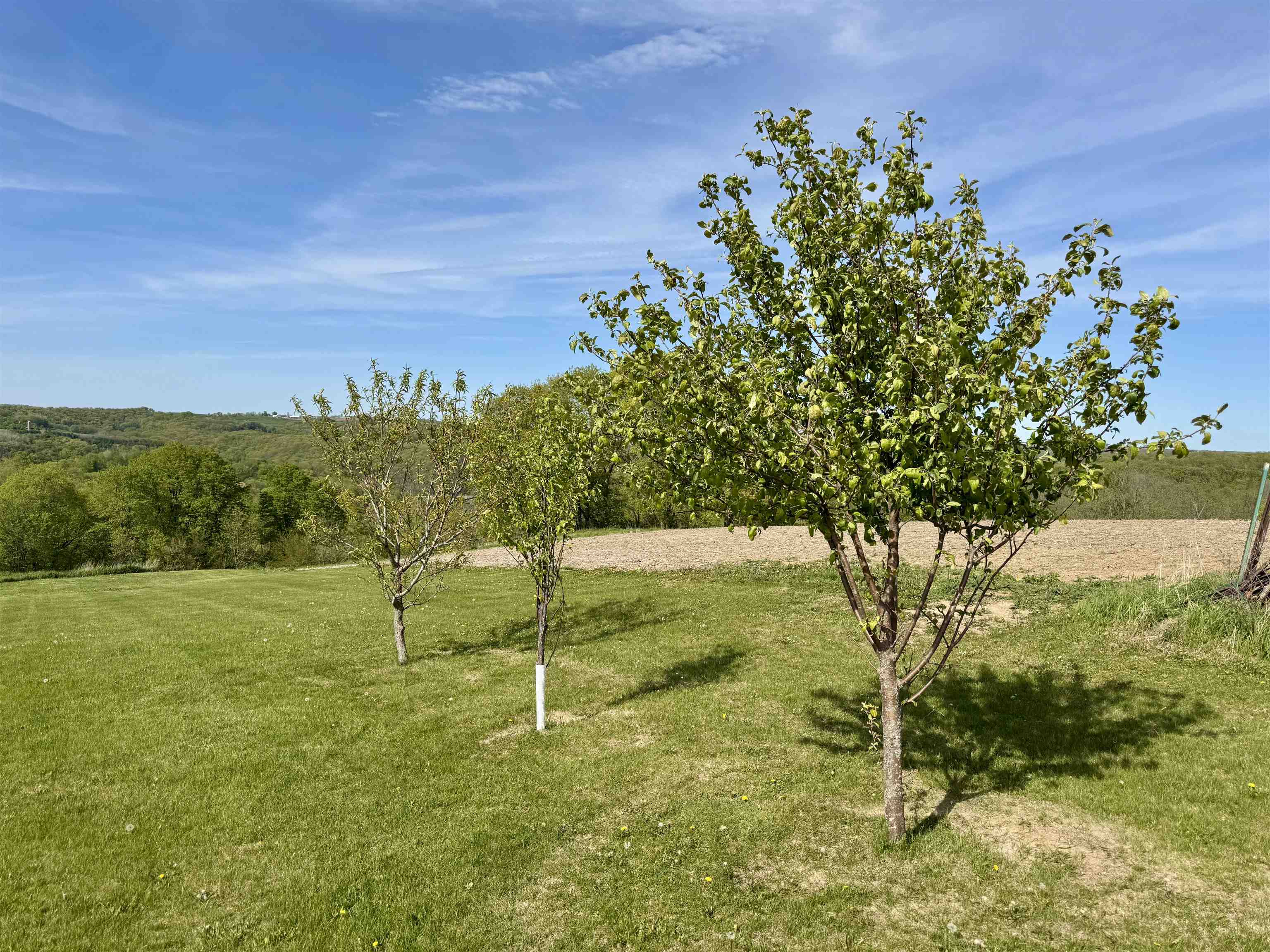 62608 Ducharme Ridge Road Eastman, WI 54626 - Photo 38 of 43