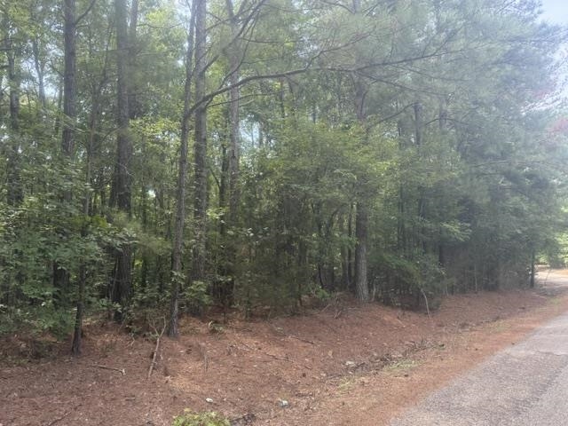 4 Hardin Graveyard Road Enville, TN 38332 - Photo 6 of 29