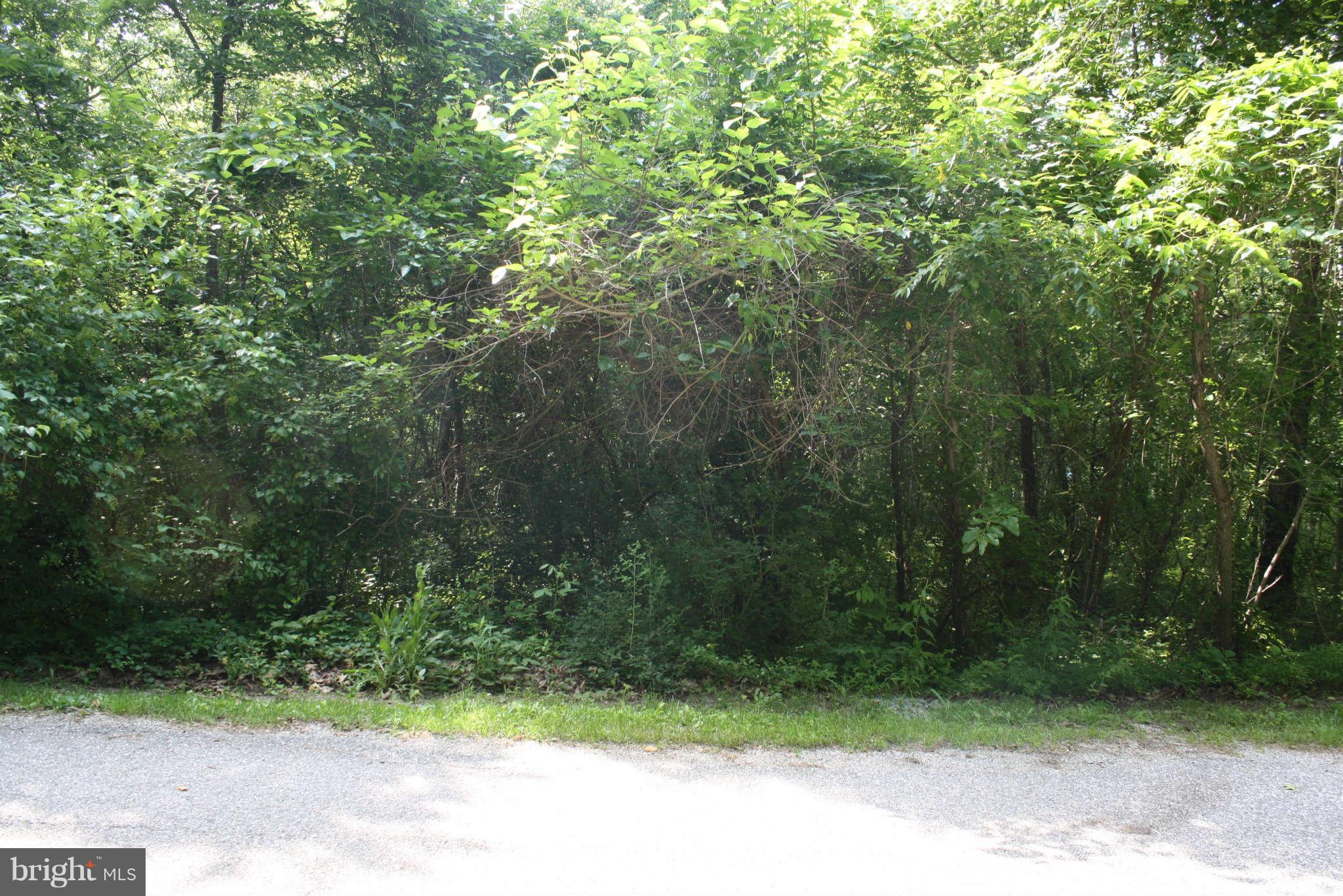 0 Logan Road Stewartstown, PA 17363 - Photo 1 of 2 View