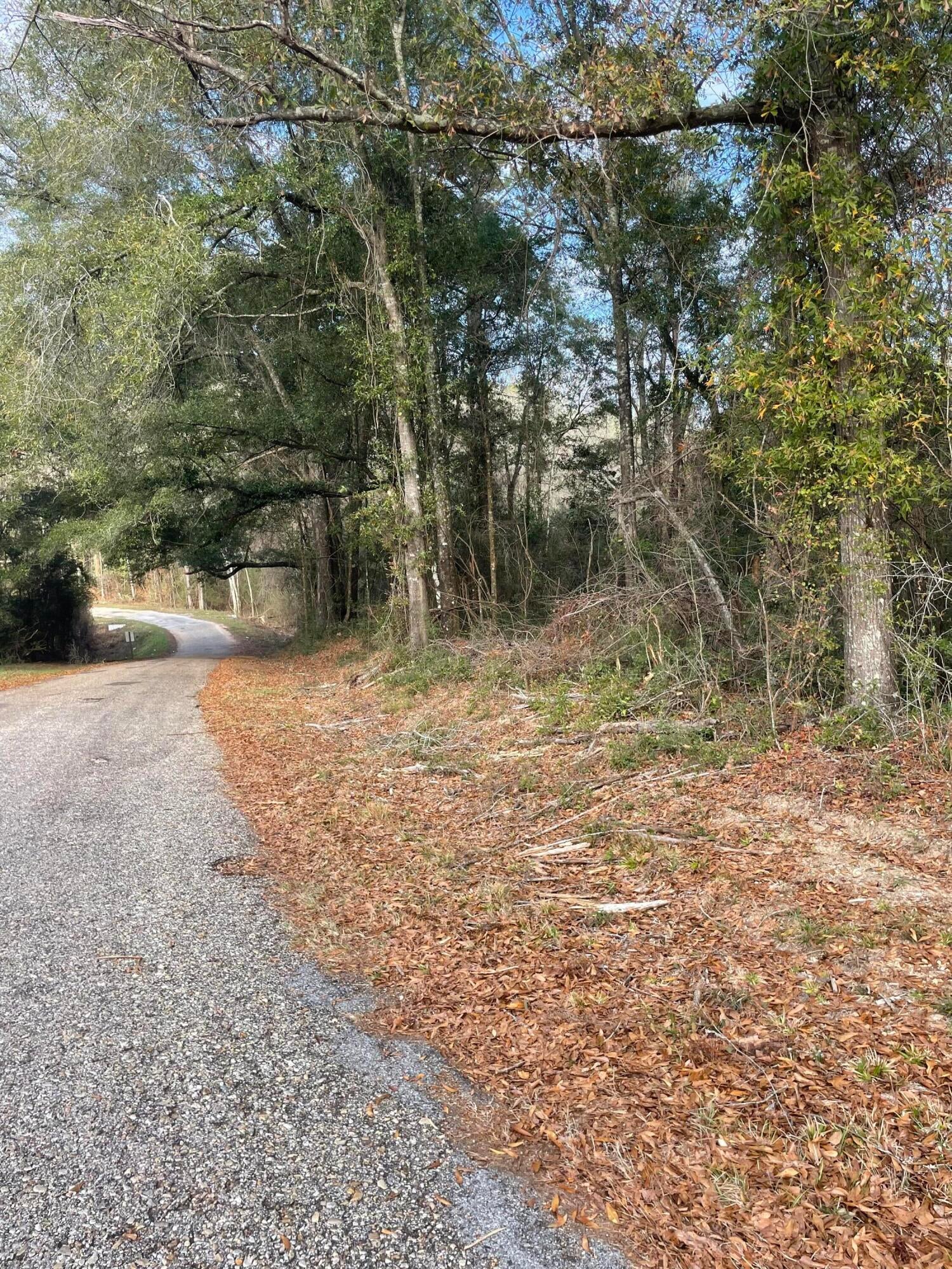Tbd McCain Road Foxworth, MS 39483 - Photo 1 of 7 Photo Jan 05 2026, 10 15 41 AM