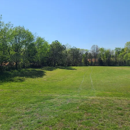 a view of a field with a trees in the background