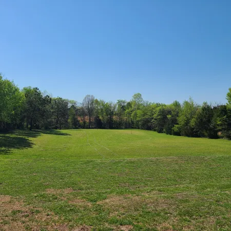 a view of field with tall trees