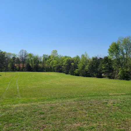 a view of a field with an trees